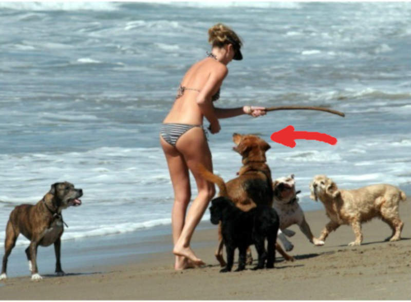 Charlize Theron Orson